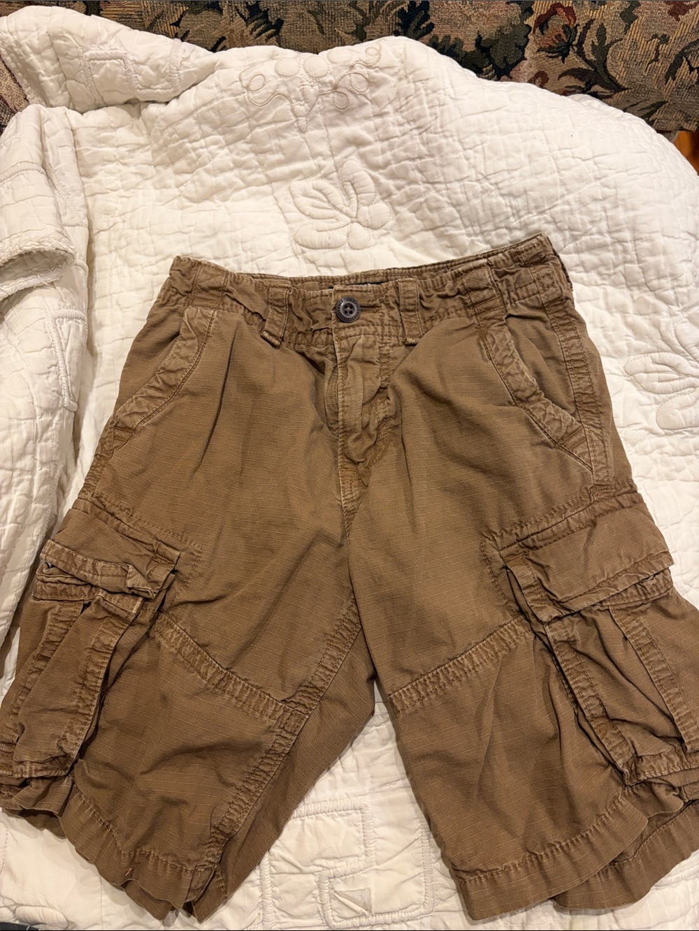 American Eagle Outfitters Men's Tan Cargo Shorts - Multipocket Utility